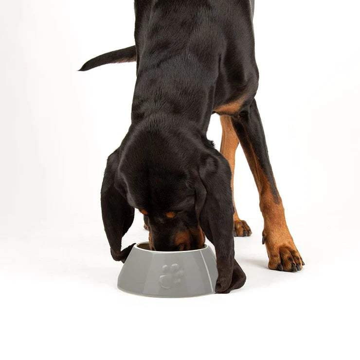 Long eared dog bowl best sale